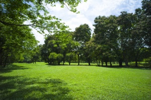 Joe Creason Park