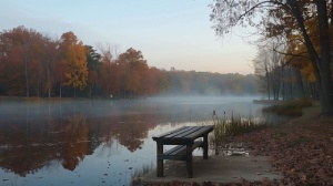 McNeely Lake Park